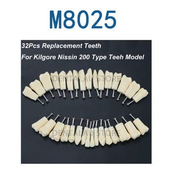 Dentare M8025 -11/16/26/36/46/21 Înlocuire Șurub-în Dinții se potrivesc Kilgore NISSIN 200 Tip Model Typodont  10